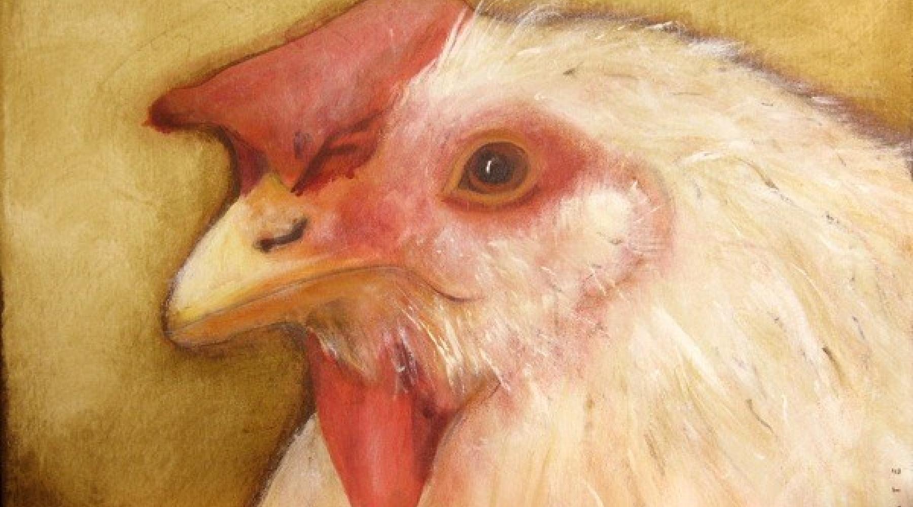 Chicken Illustration