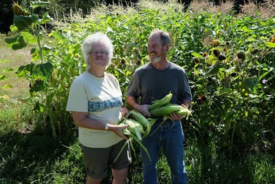 Two farmers standing in a garden holding freshly picked corn with tall plants behind them
