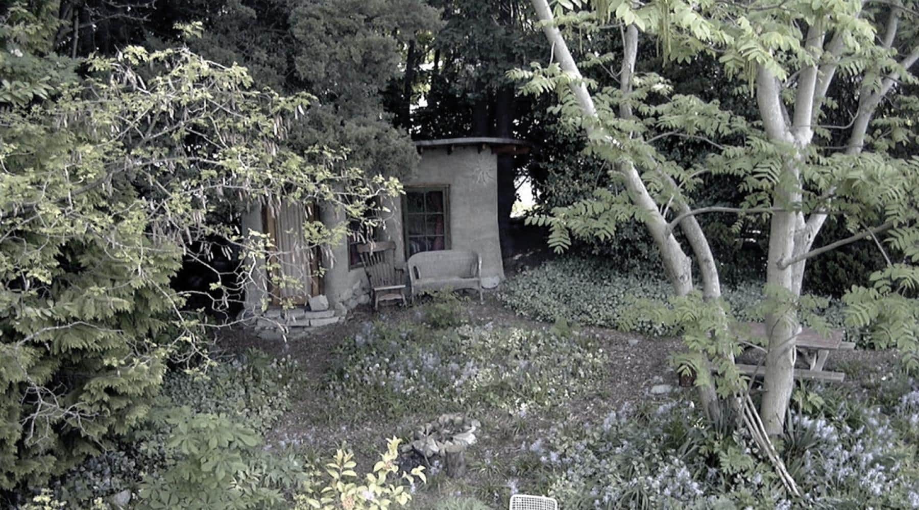 Small shed surrounded by trees and plants with chairs and a bench in Salsbury Garden